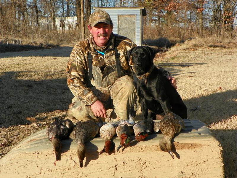 Last Day, Arkansas, January 29, 2011